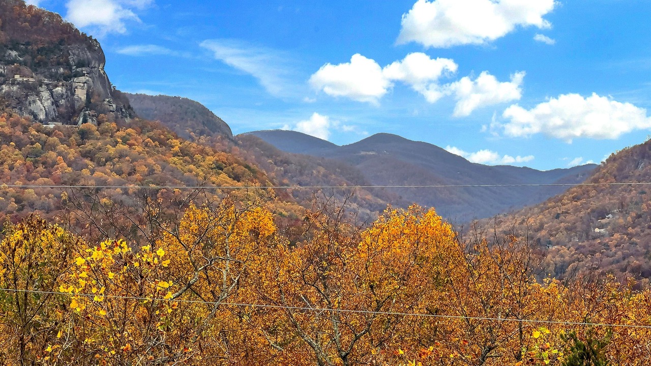 Photo of Others in Lake Lure
