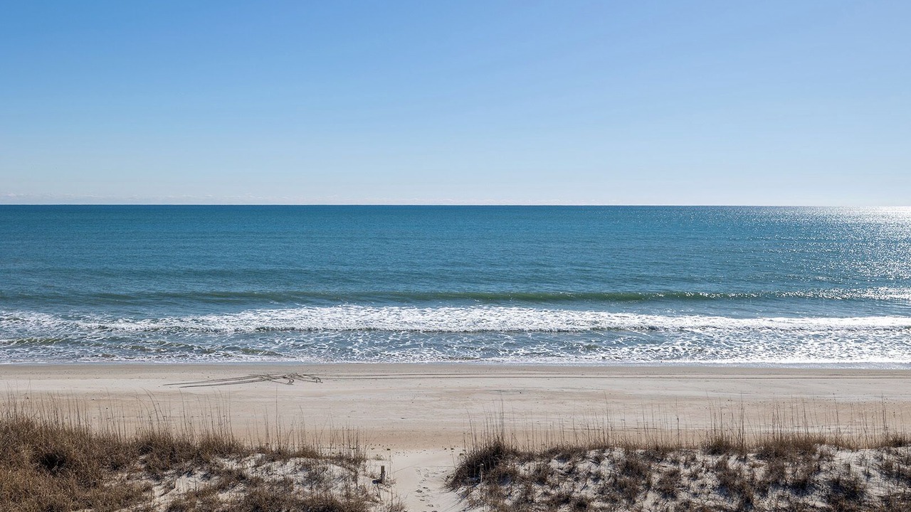 Photo of Others in Indian Beach