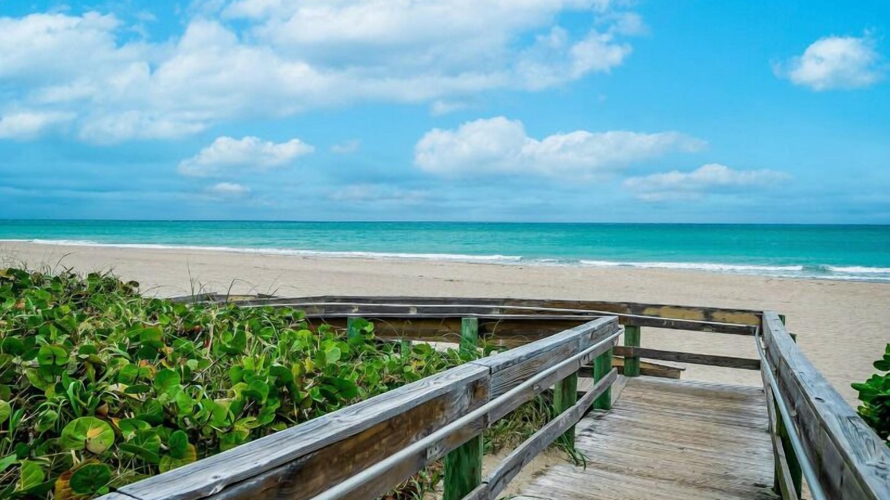 Photo of Outdoor in Palm Beach Shores