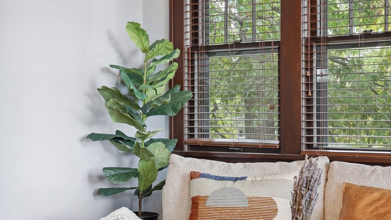 Photo of Livingroom in Linden Hills