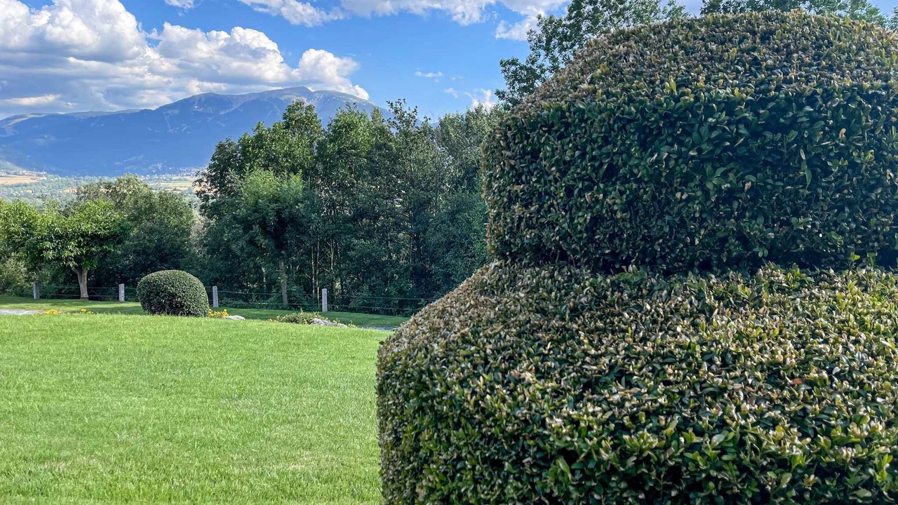 Photo of Outdoor in Ger