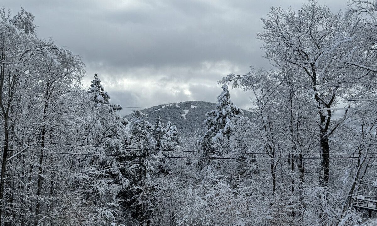 Photo of Others in Bridgton