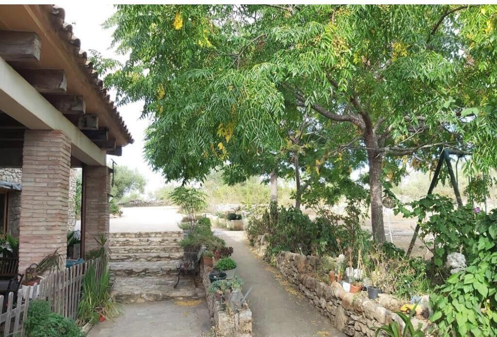 Photo of Outdoor in El Perello