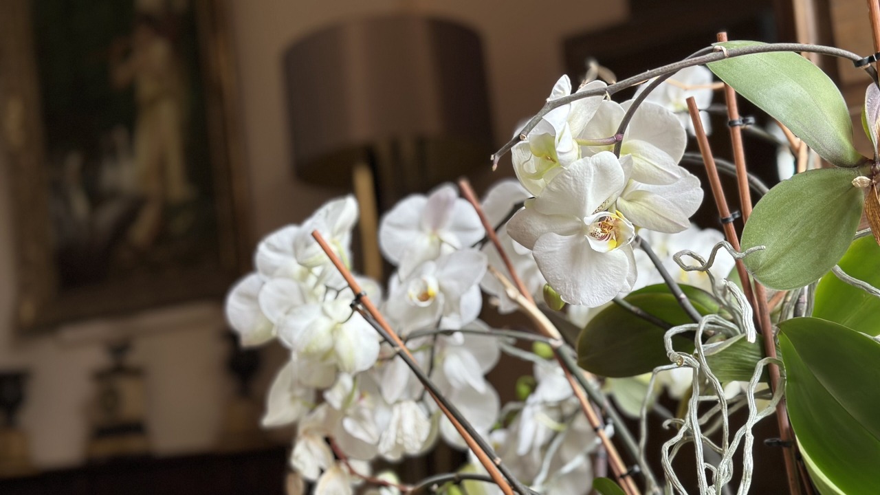 Photo of Others in Projan