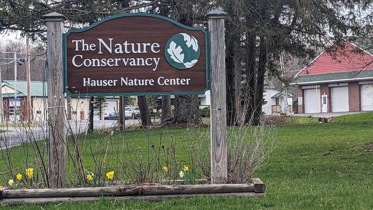 Photo of Outdoor in Lake Harmony