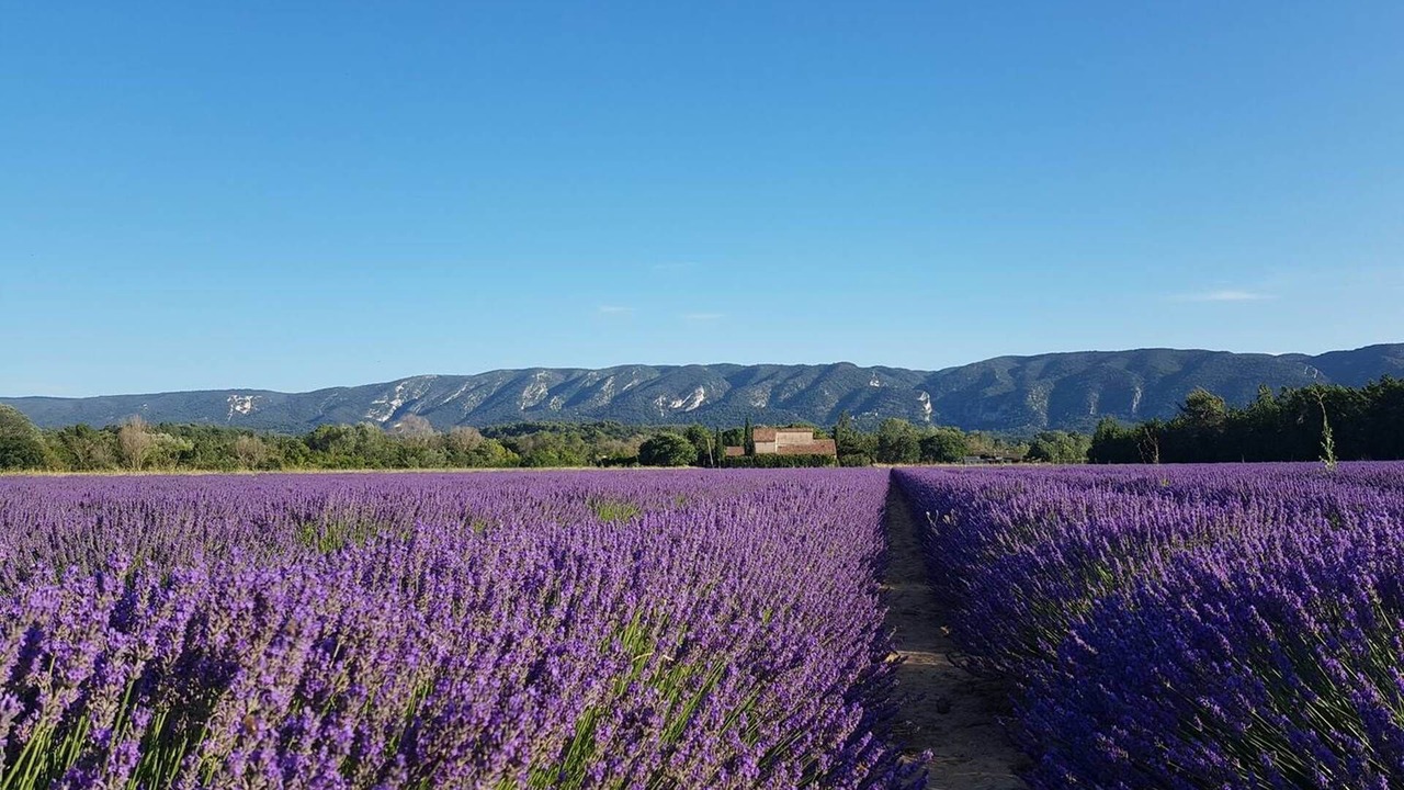 Photo of Others in Viens