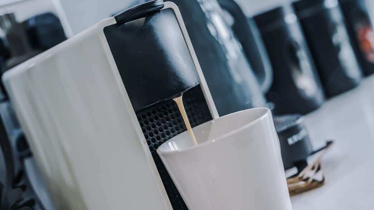 Photo of Others in Baltic Triangle