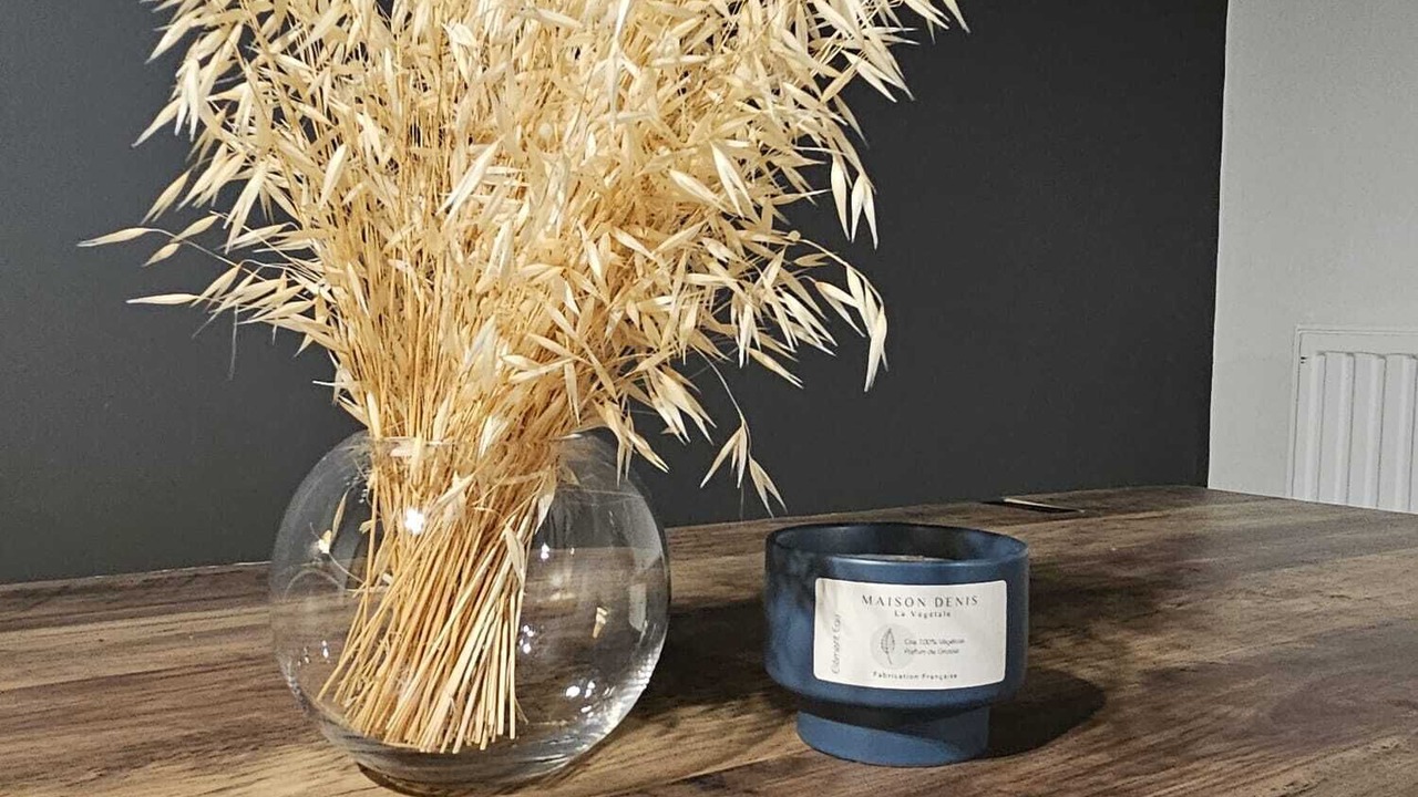 Photo of Others in Montrelais