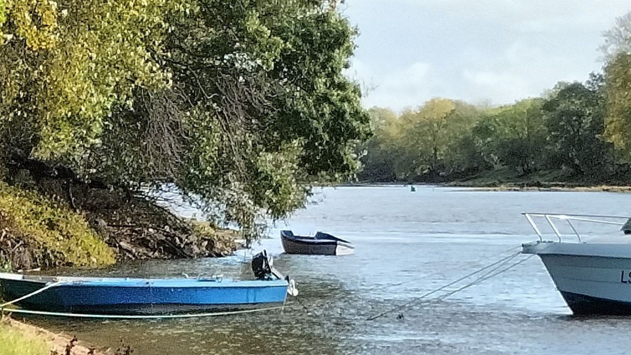 Photo of Others in Montrelais