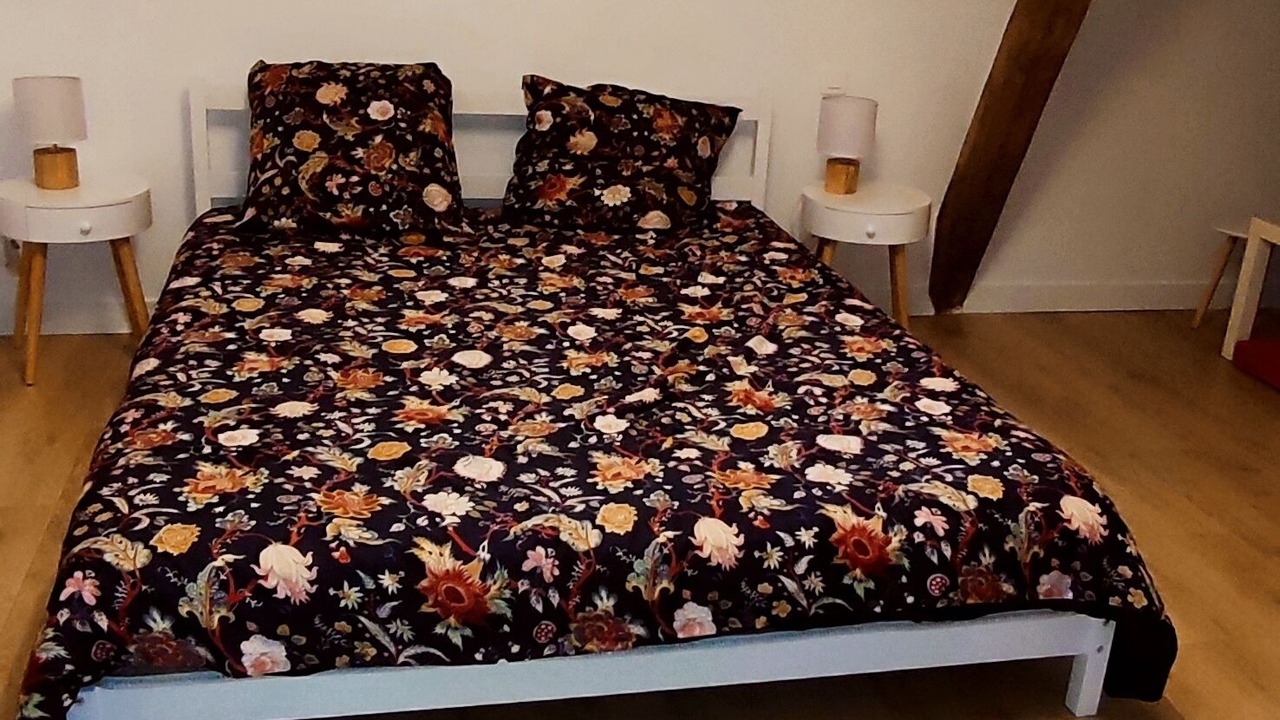 Photo of Bedroom in Langeais