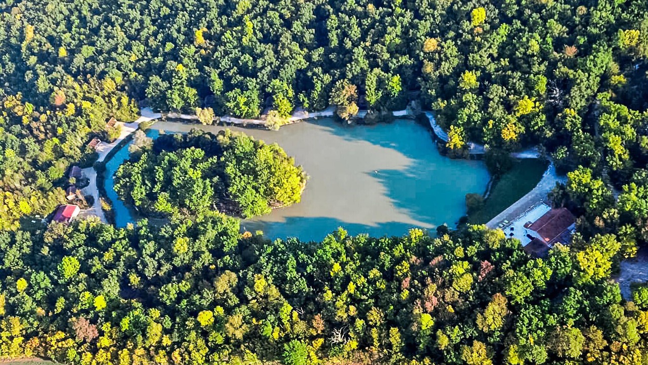 Photo of Others in Chef-Boutonne