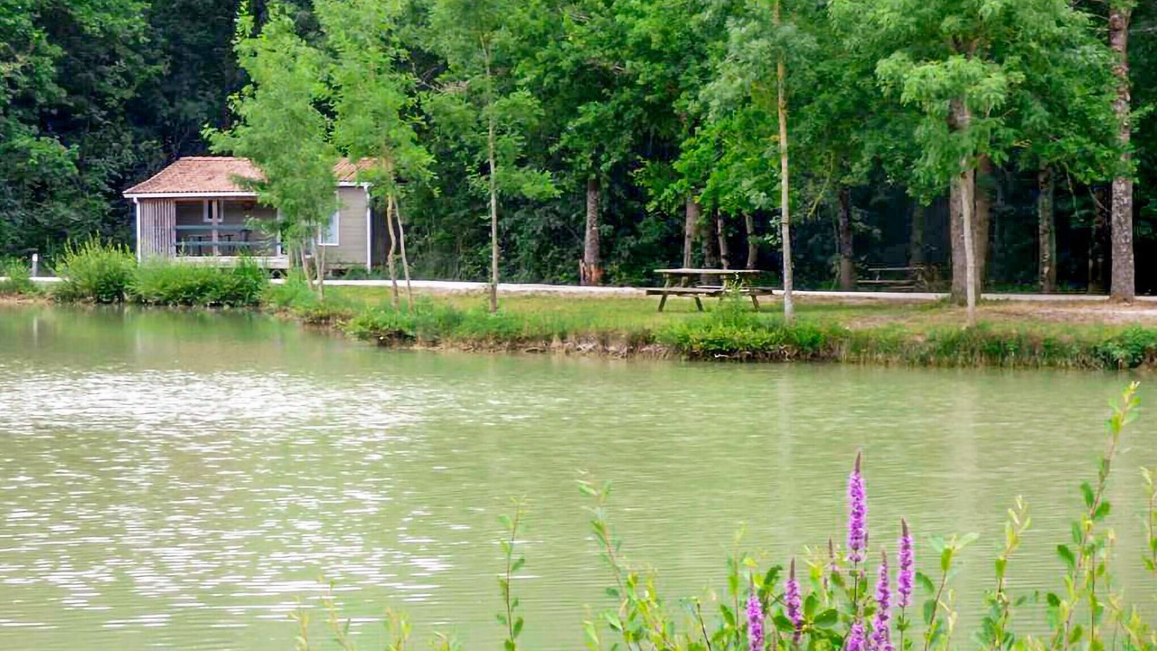 Photo of Others in Chef-Boutonne