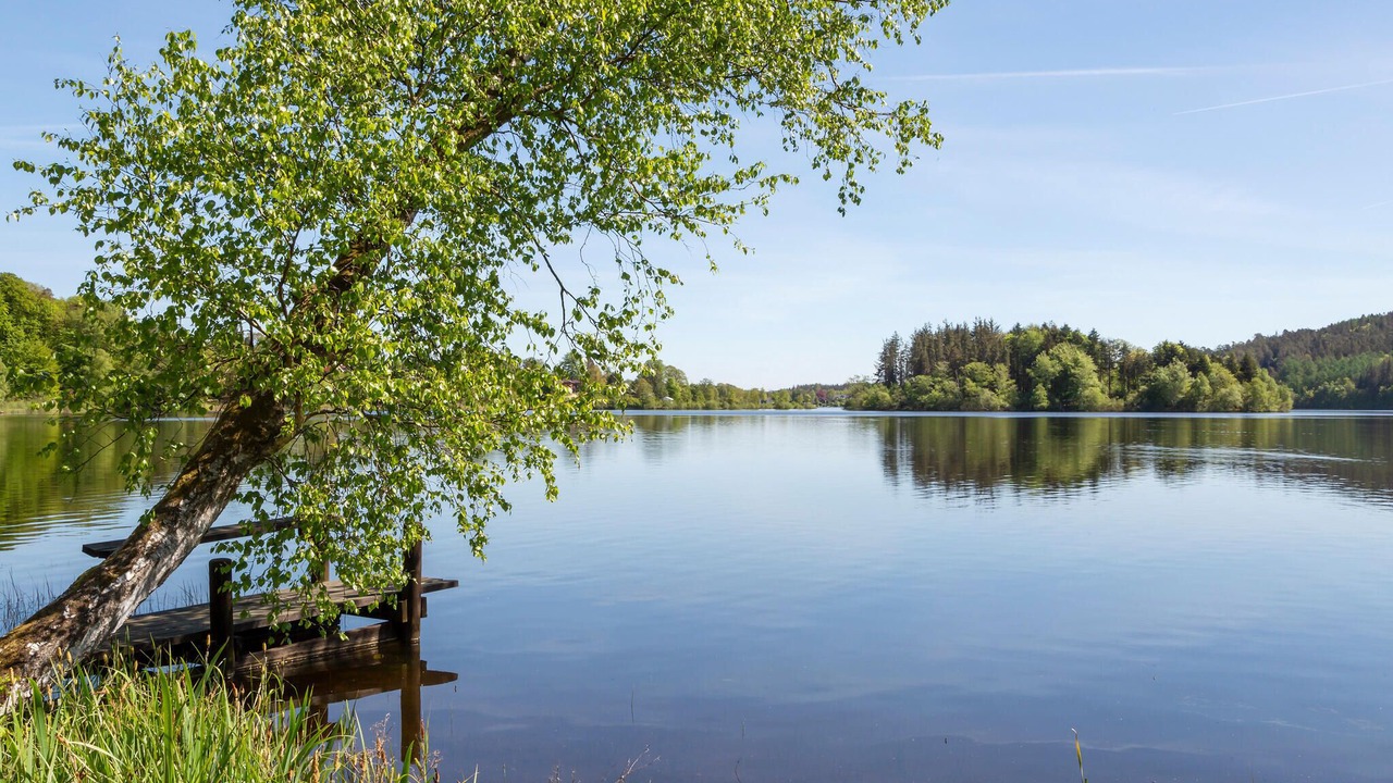 Photo of Others in Silkeborg