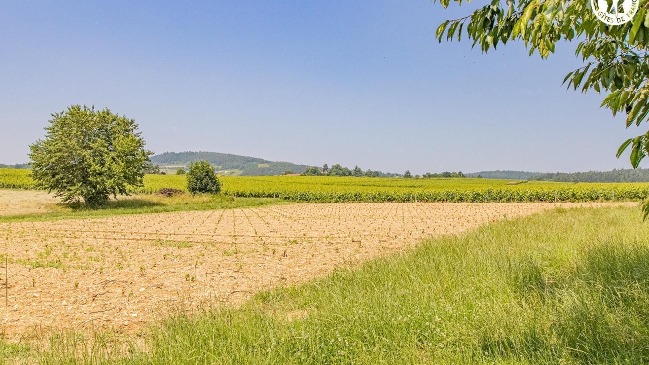 Photo of Others in Prisse