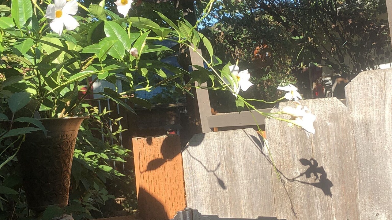 Photo of Outdoor in Talent