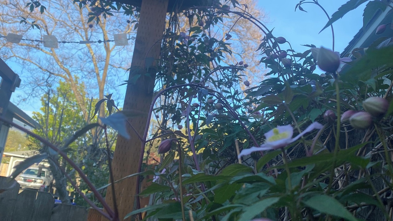 Photo of Outdoor in Talent