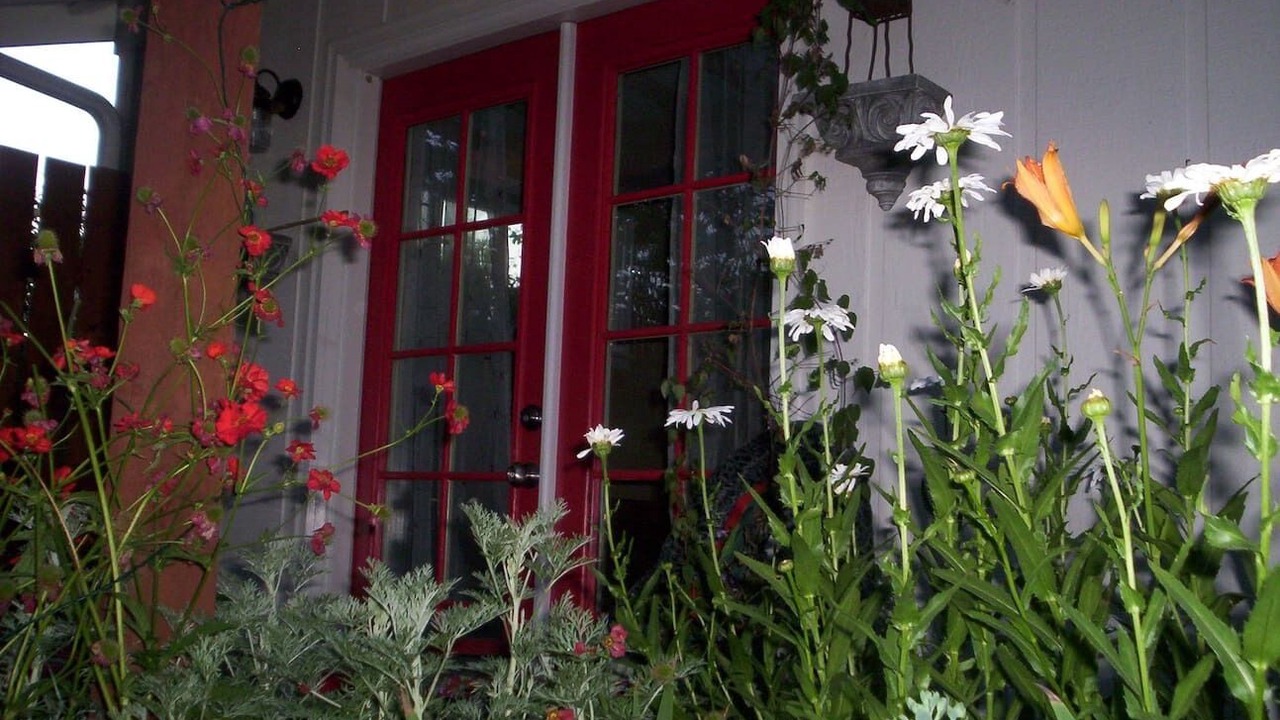 Photo of Outdoor in Talent