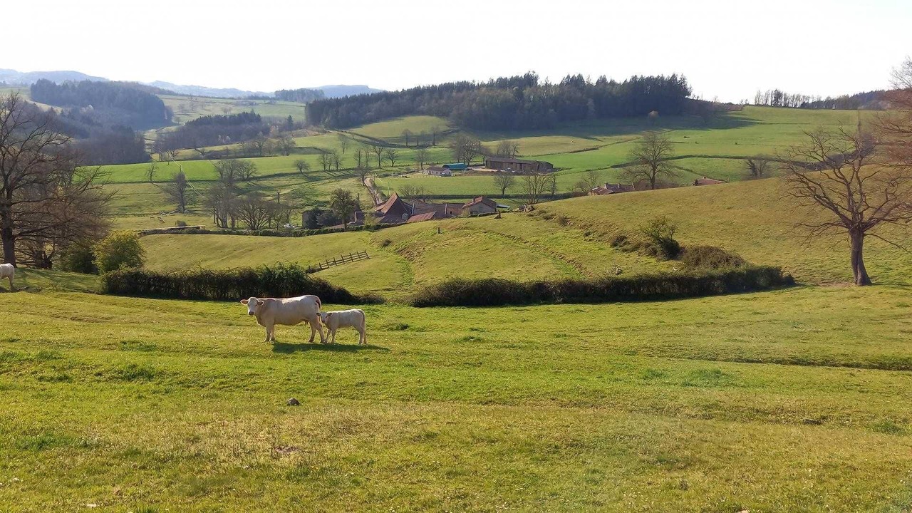 Photo of Others in Trambly