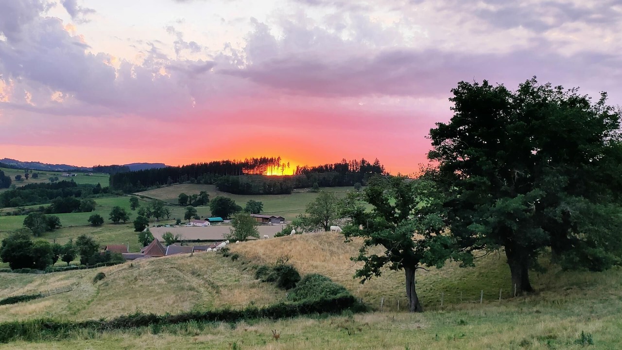 Photo of Others in Trambly