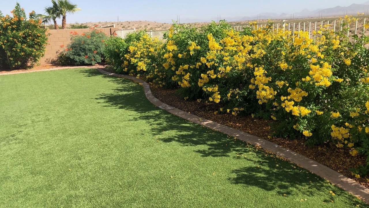 Photo of Outdoor in Fort Mohave
