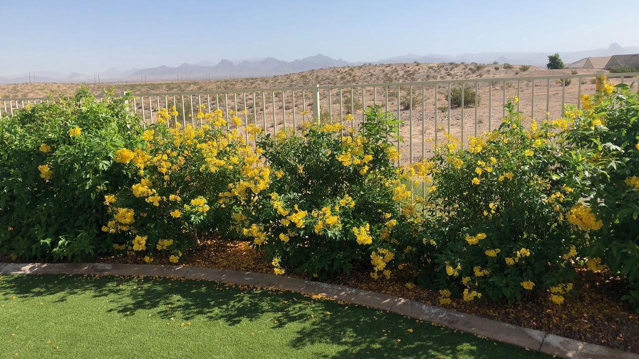Photo of Outdoor in Fort Mohave
