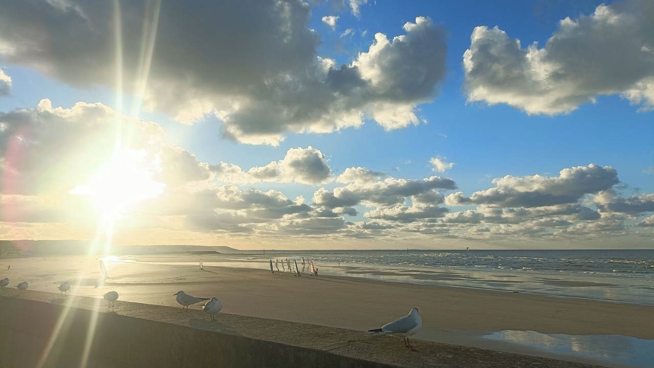 Photo of Others in Trouville-sur-Mer