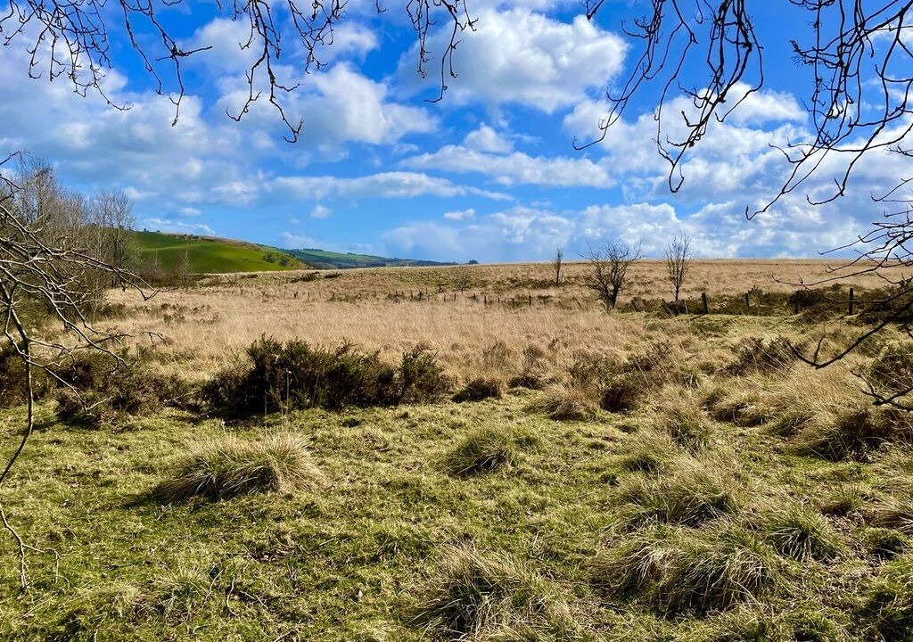 Photo of Others in Tirabad