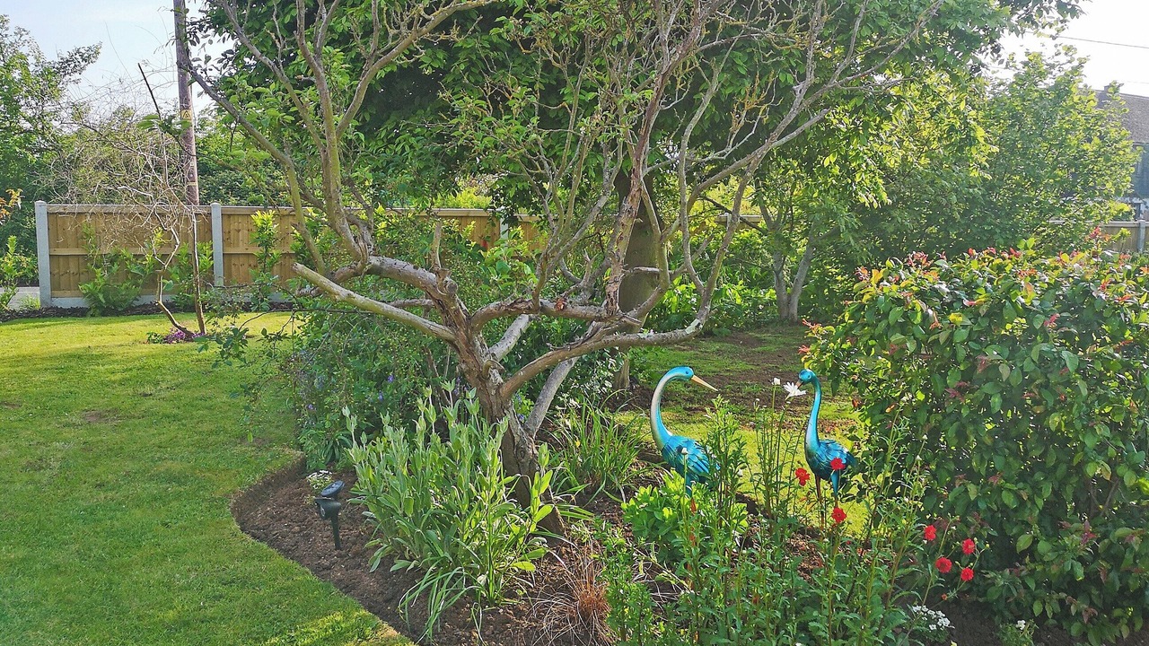 Photo of Outdoor in Layer Marney
