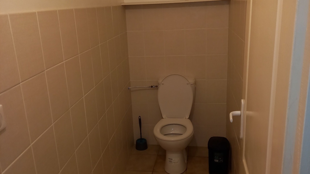 Photo of Bathroom in Molieres