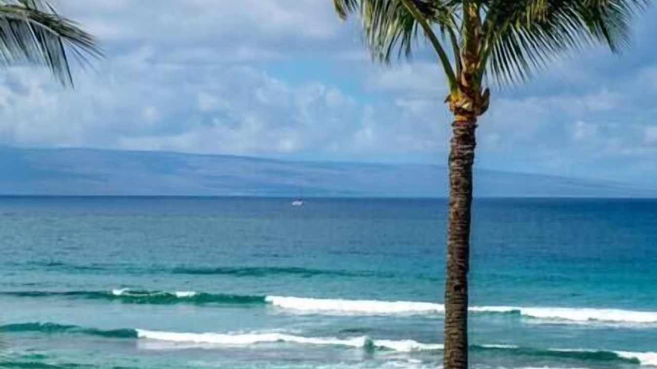 Photo of Others in Honokowai