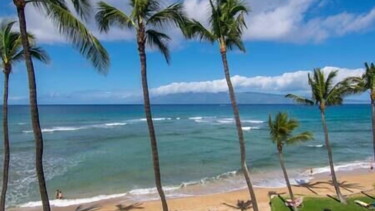 Photo of Others in Honokowai