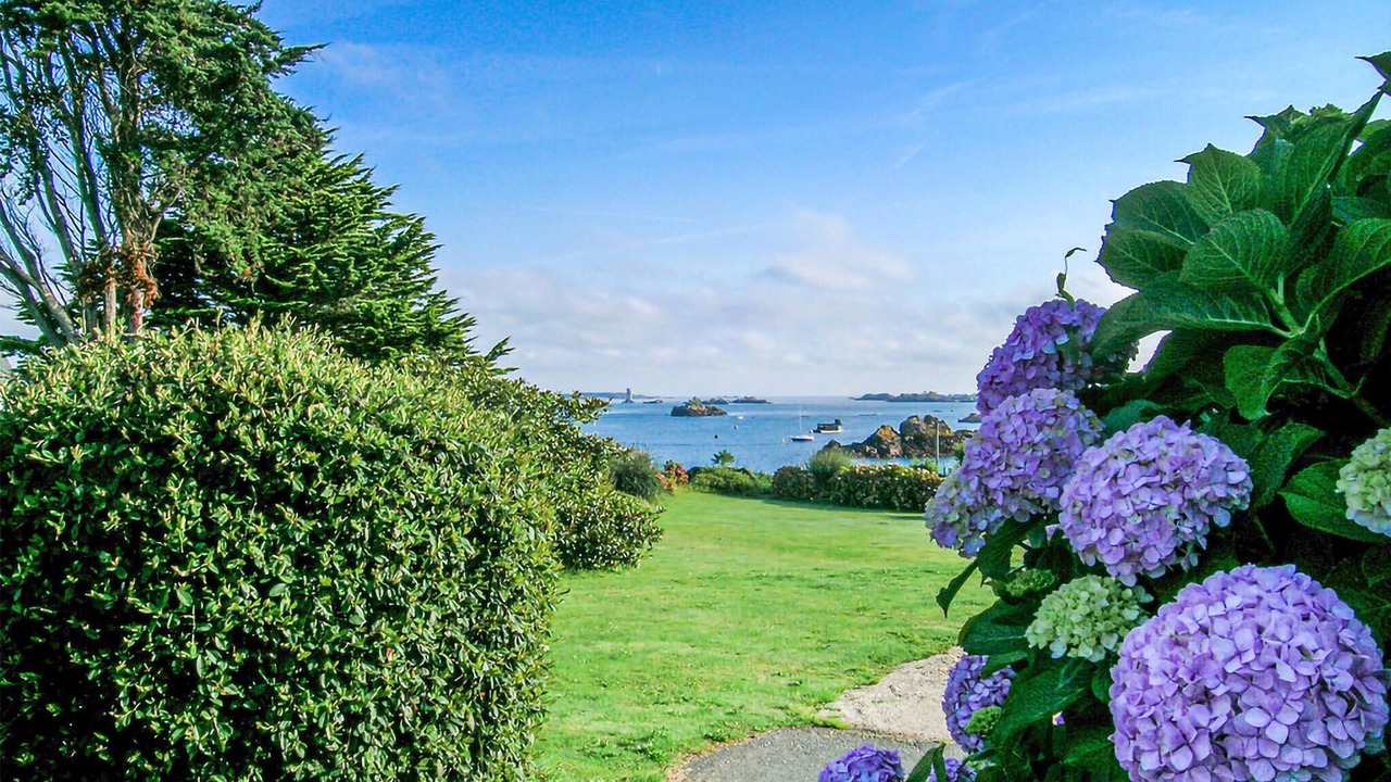 Photo of Others in Loguivy