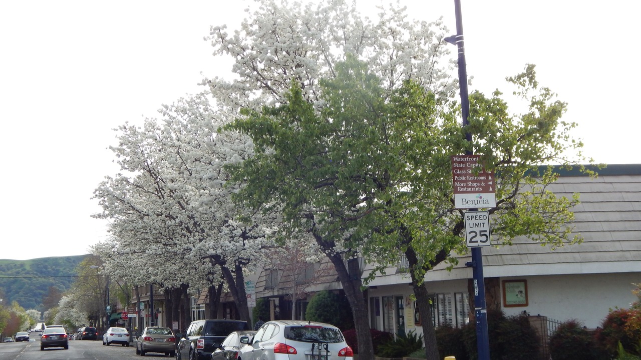 Photo of Others in Benicia