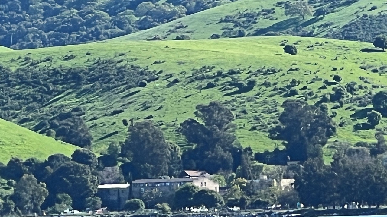 Photo of Others in Benicia