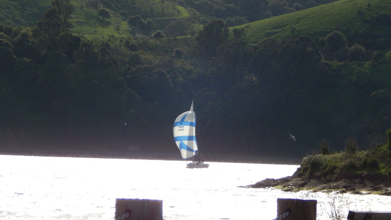 Photo of Bedroom in Benicia