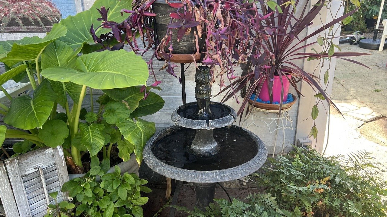 Photo of Outdoor in Benicia