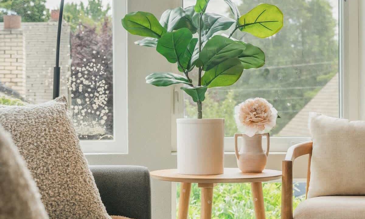 Photo of Livingroom in Ravenna
