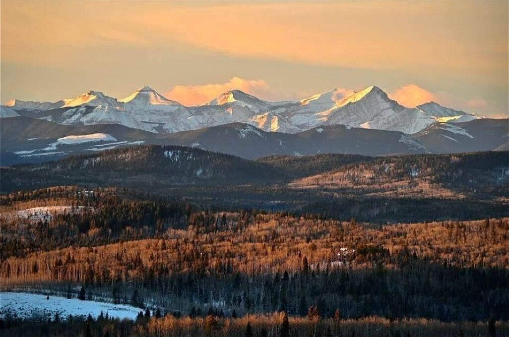 Photo of Others in Bragg Creek