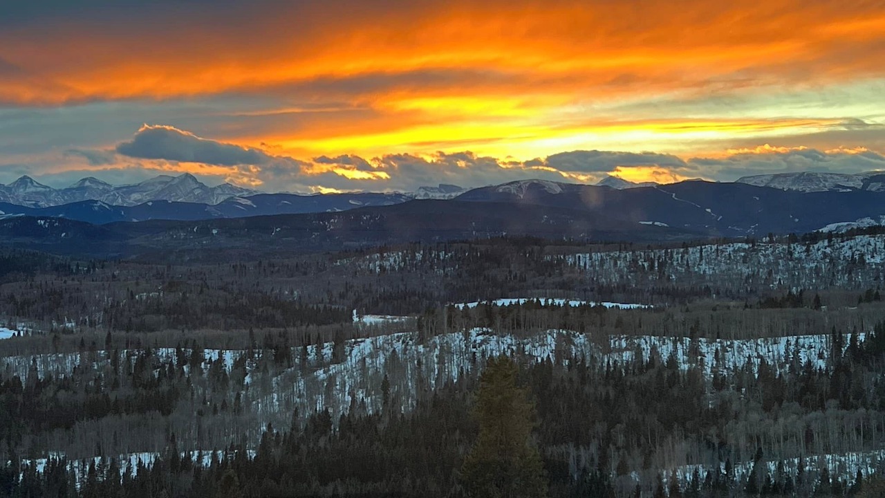 Photo of Others in Bragg Creek