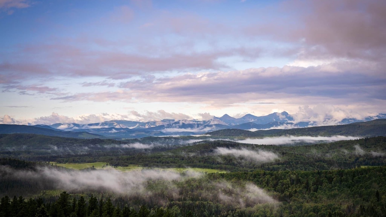 Photo of Others in Bragg Creek