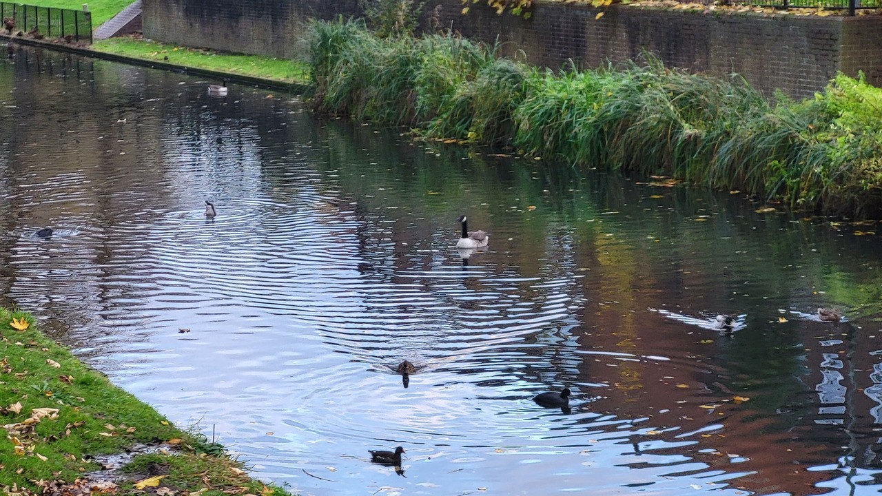 Photo of Others in Thamesmead
