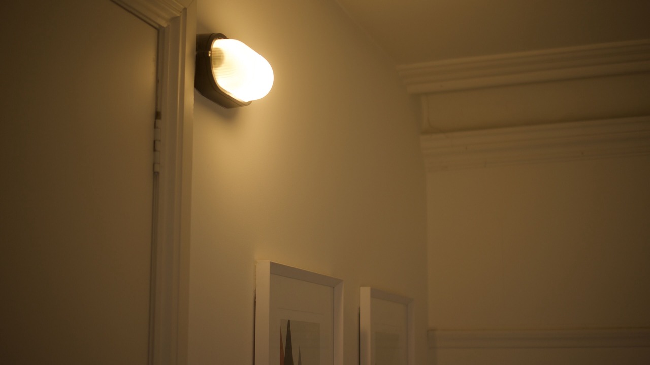 Photo of Others in Collingwood