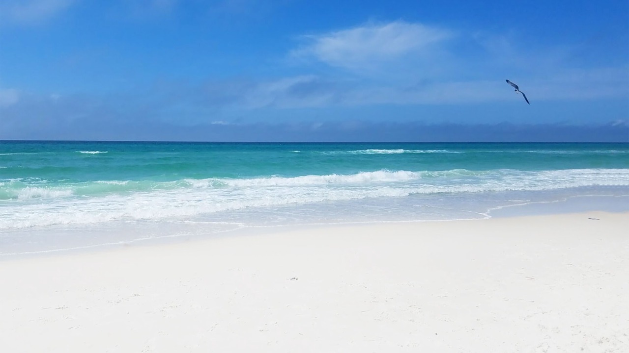 Photo of Others in El Centro Beach