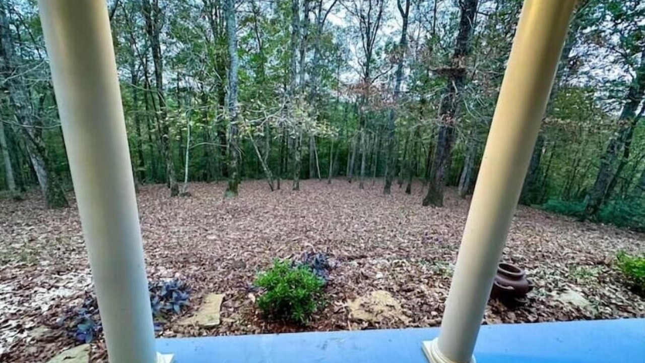 Photo of Outdoor in Lincoln Parish