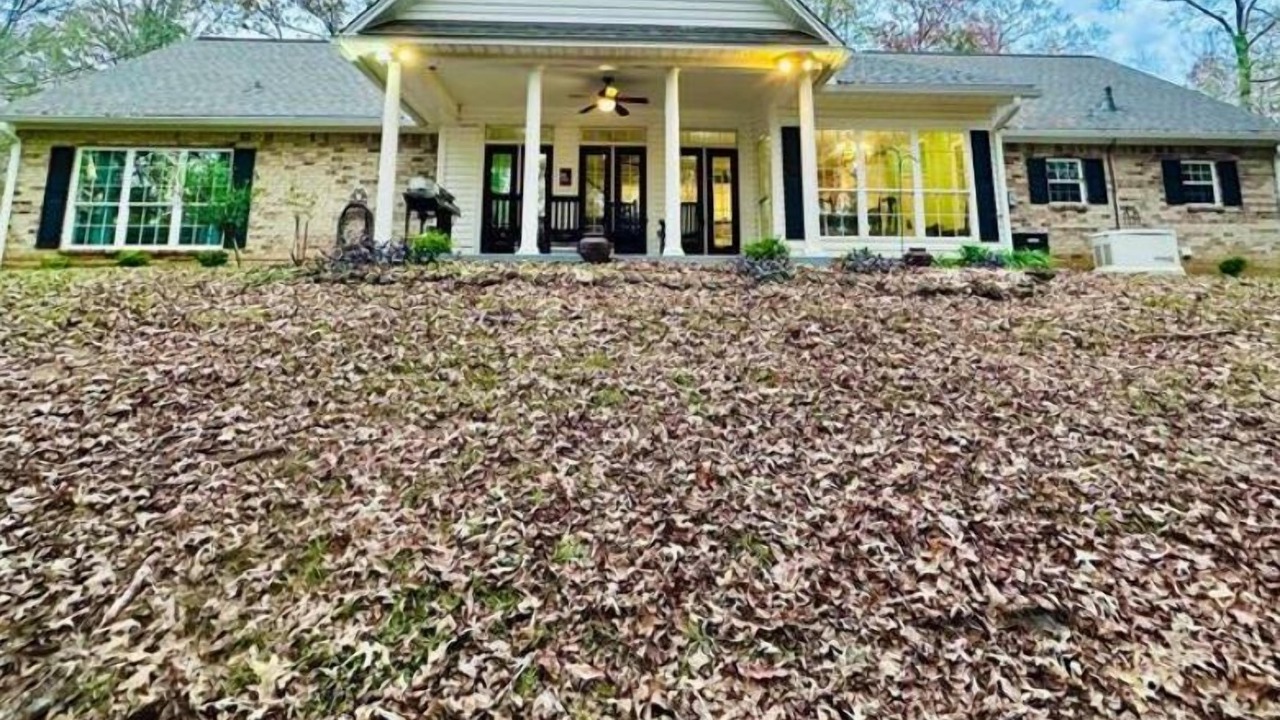Photo of Outdoor in Lincoln Parish