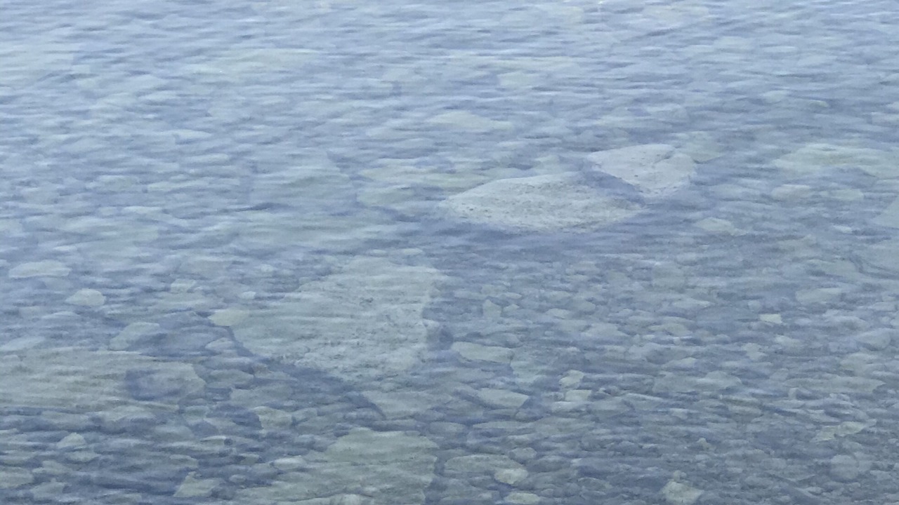 Photo of Others in Idlewild