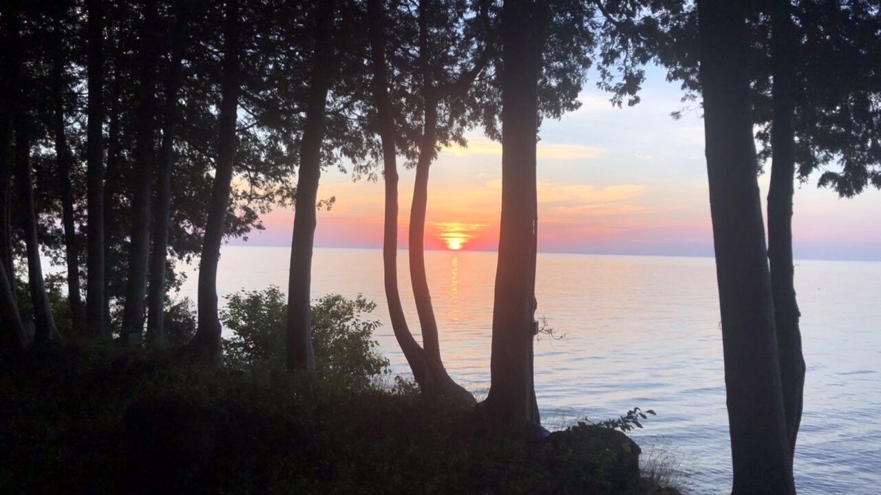 Photo of Others in Idlewild