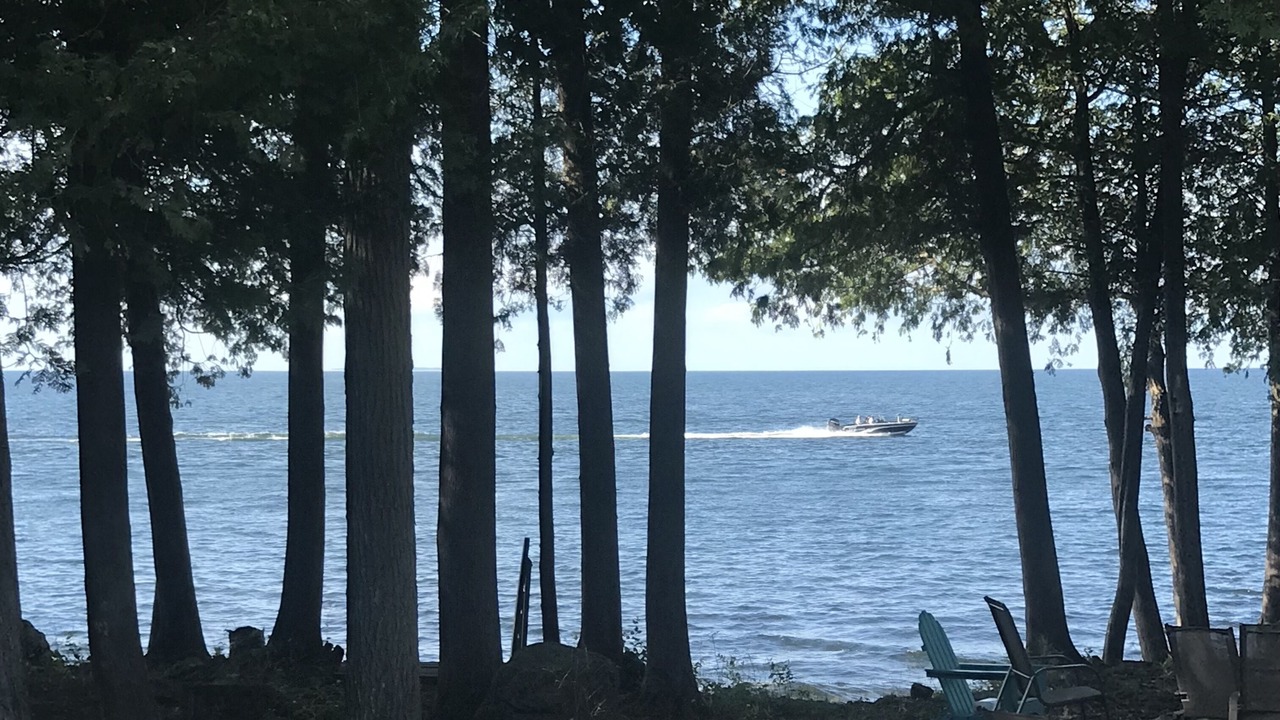 Photo of Outdoor in Idlewild