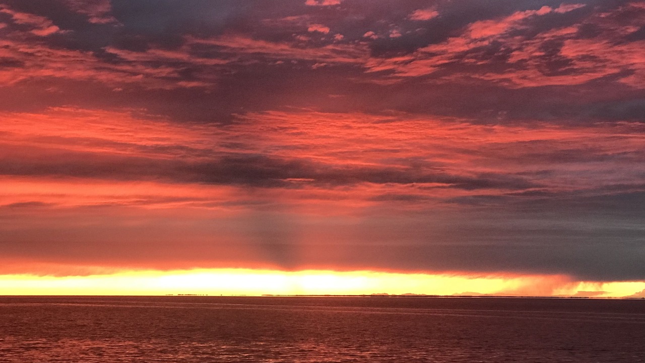 Photo of Others in Idlewild