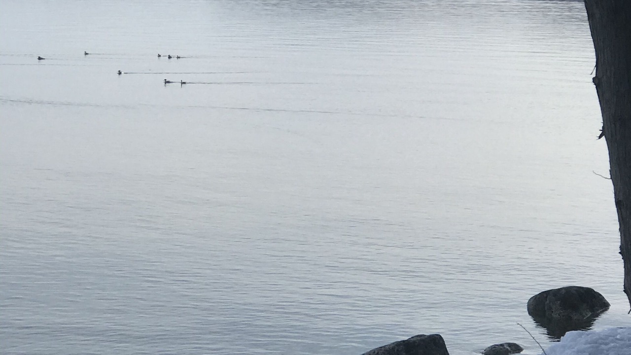 Photo of Outdoor in Idlewild